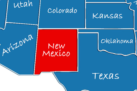 New Mexico Elections