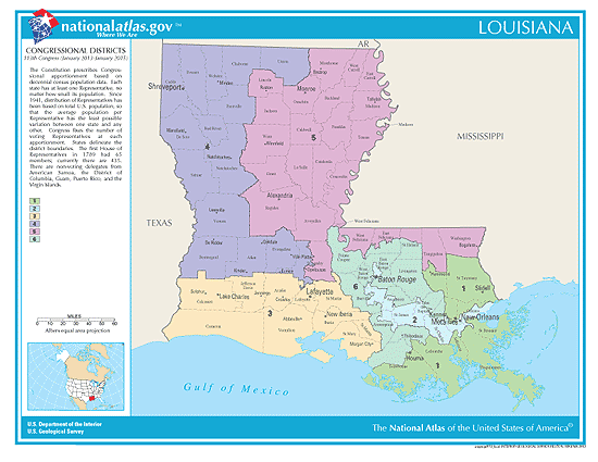 2020 Louisiana Elections Candidates Races And Voting