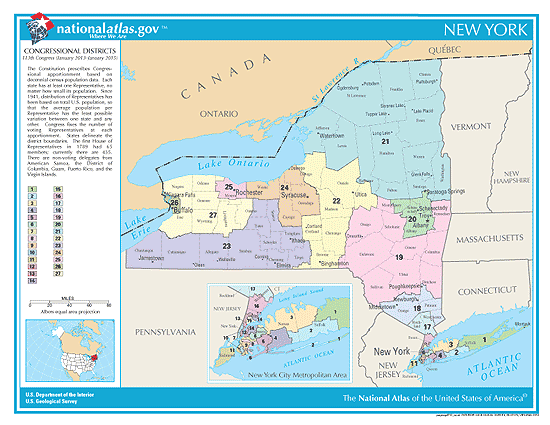 2020 New York Elections, Candidates, Races and Voting